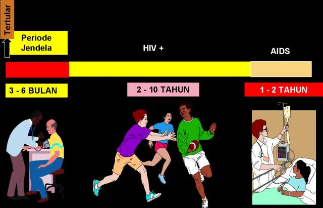 fase perjalanan HIV ke AIDS2.jpg